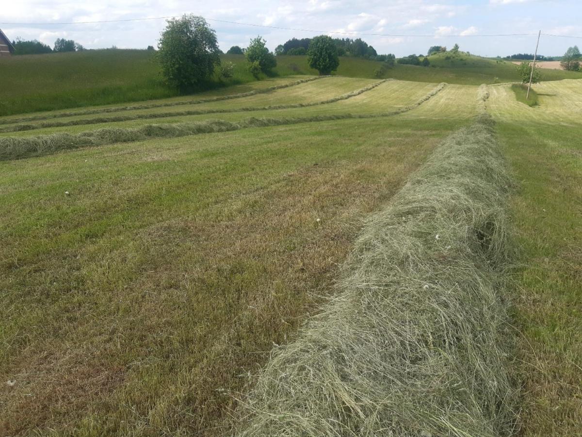 Domek W Kwiatach Zyndaki Esterno foto