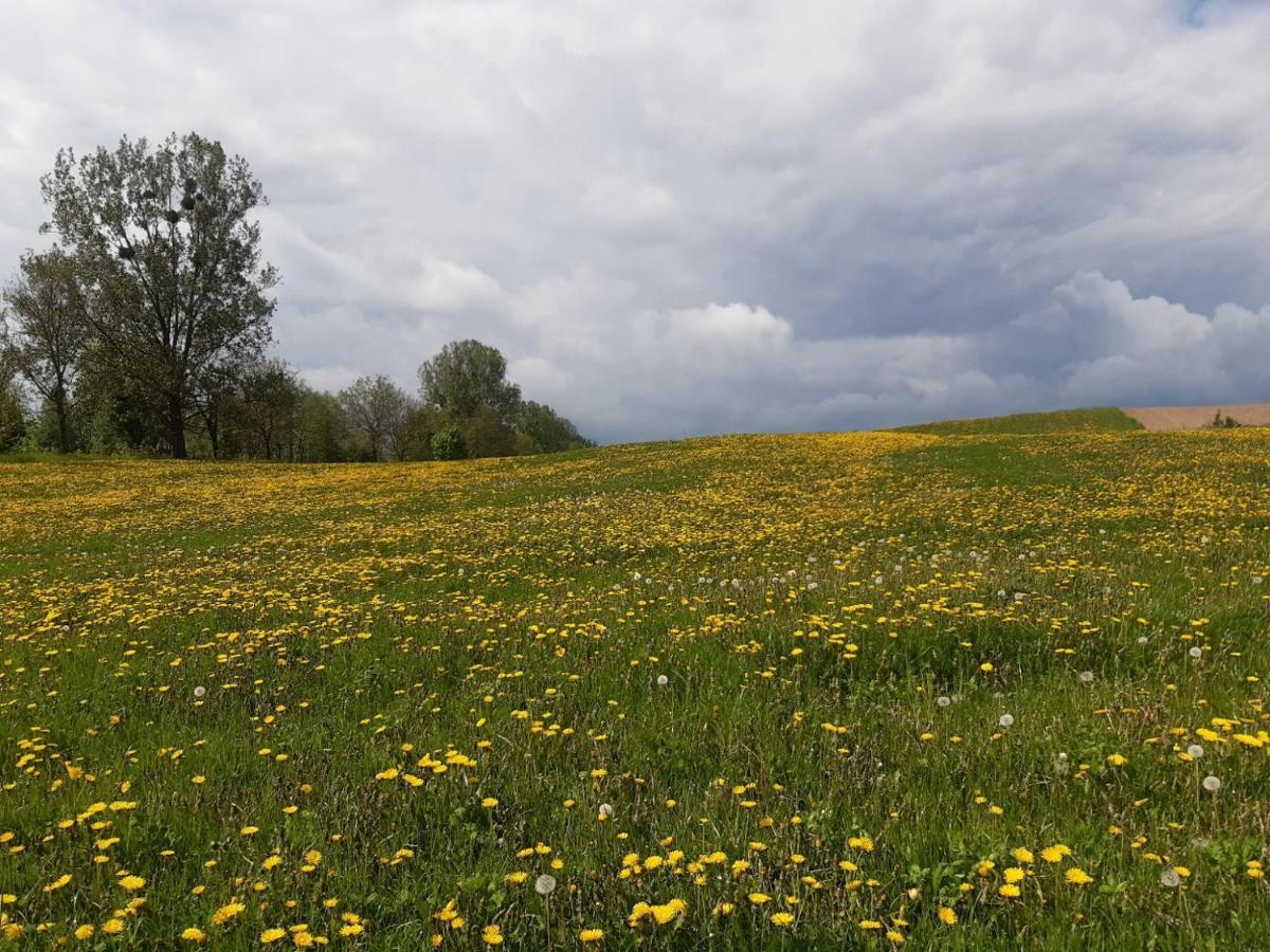 Domek W Kwiatach Zyndaki Esterno foto